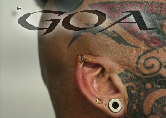 ear_pointing_by_franz_nieto_20130412_1006365259