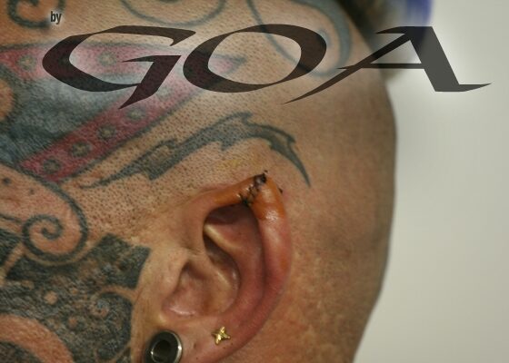ear_pointing_by_franz_nieto_20130412_1722707684