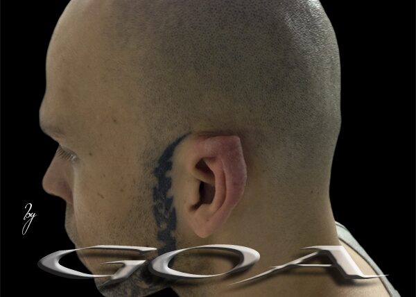 ear_pointing_by_franz_nieto_20130412_2071394562